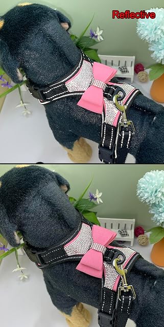Foto 5 de 7 de Newtensina 2 Piezas Pajaritas Bling Lindo Perro arnes con Correa para Perro - Rosa - M