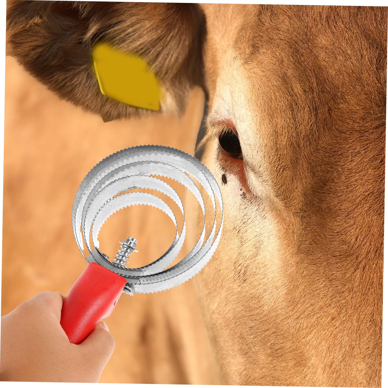BESPORTBLE 4 Pezzi Spazzola Per La Pulizia Del Bestiame Spazzola Per Di Bovini Per Cani Spazzola Per La Pulizia Del Massaggio Del Cavallo Pettine Per La Toelettatura Del Cavallo