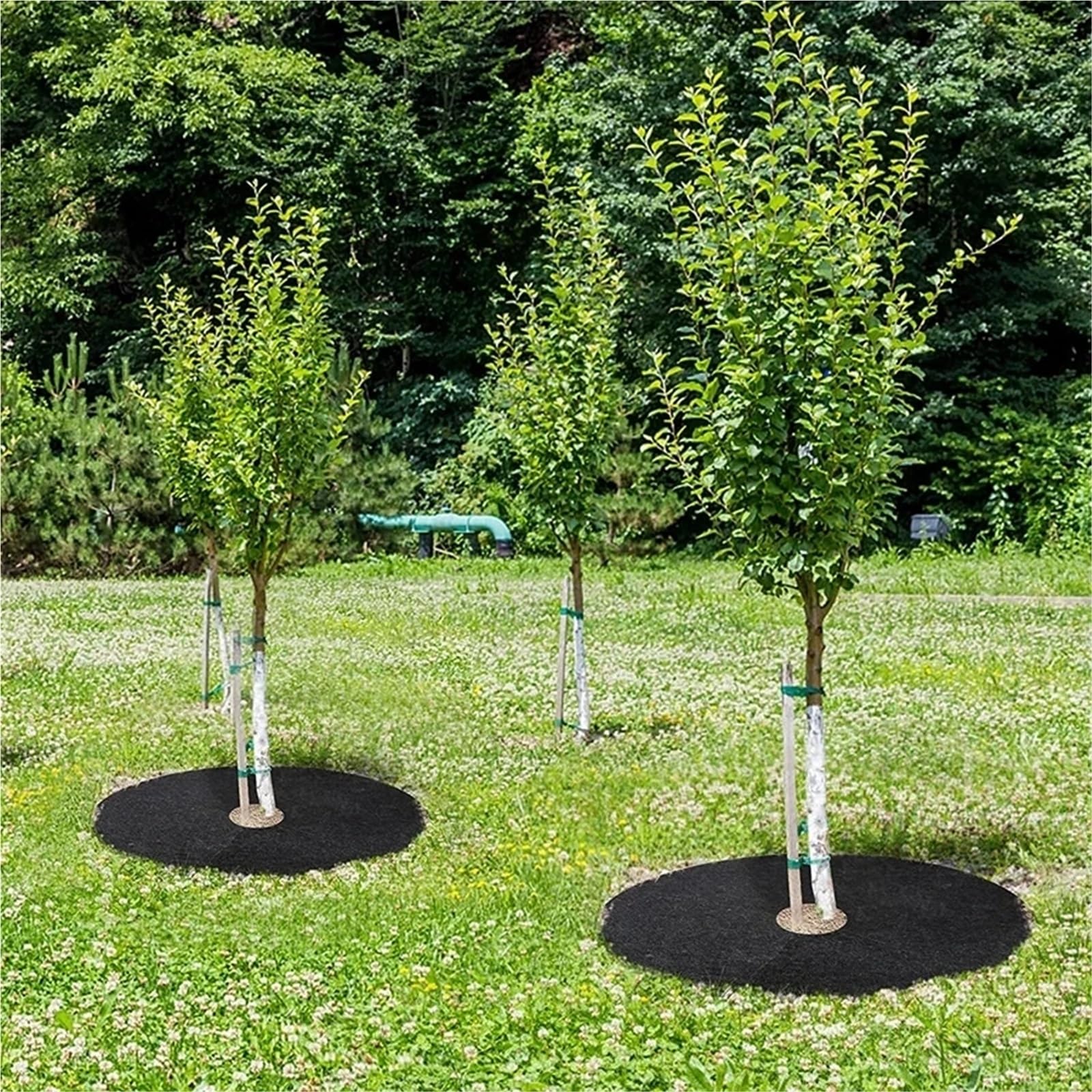 Telo Pacciamatura Tappetini for pacciamatura for Il Controllo delle Erbacce da 12 Pezzi, barriera Rotonda | Copertura Barriera Pacciamante Rotonda Ecologica Protezione Radici Giardino(72cm)
