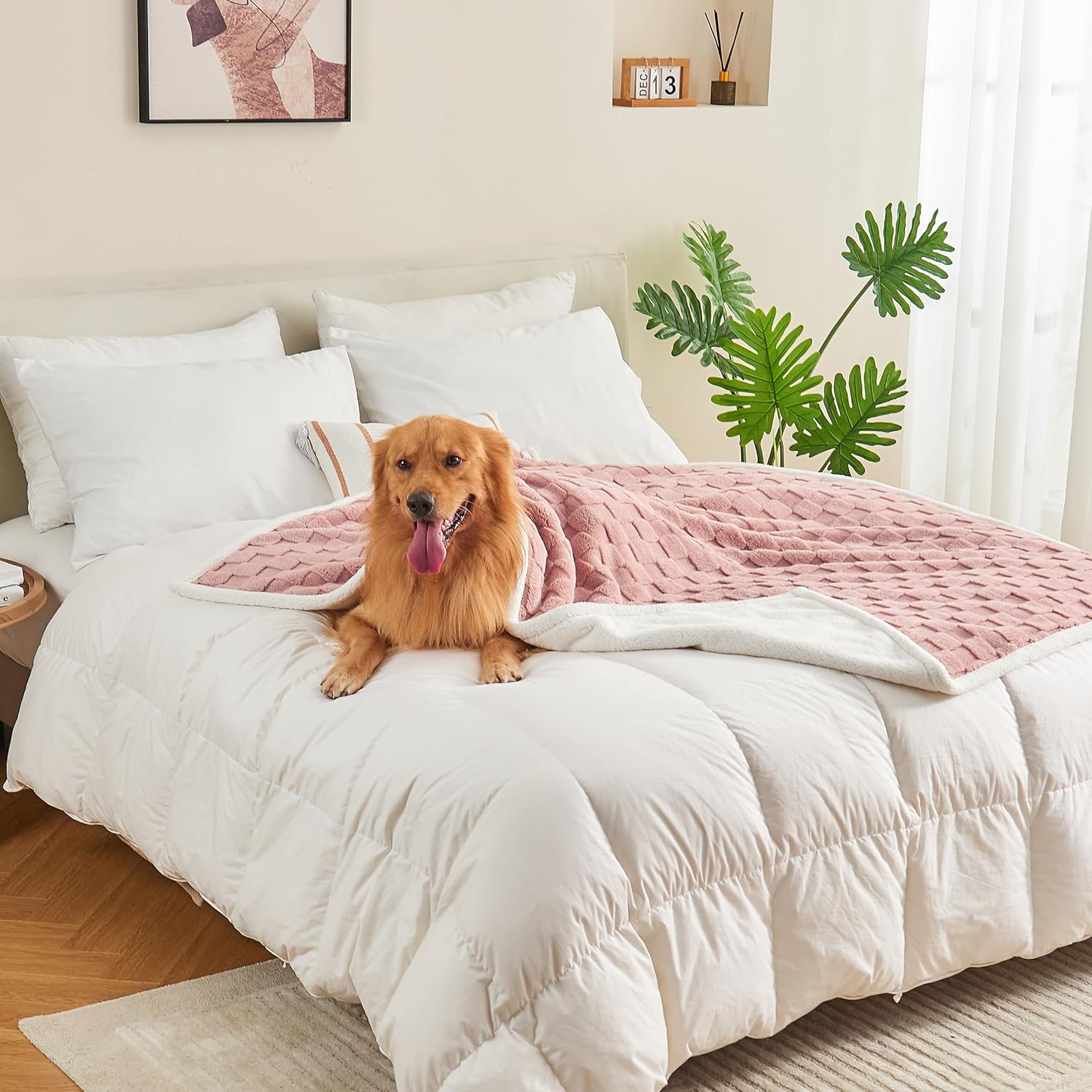 Checkered Waterproof Blanket for Bed Couch Sofa Car, Fluffy Soft Dog Blanket with 3D Jacquard Grid Pattern, Reversible Leakproof Pet Blankets for Dogs Cats Puppies, Dusty Pink, 60"x80" - Image 4