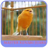 Chirridos Aves Master Canarias Campeón