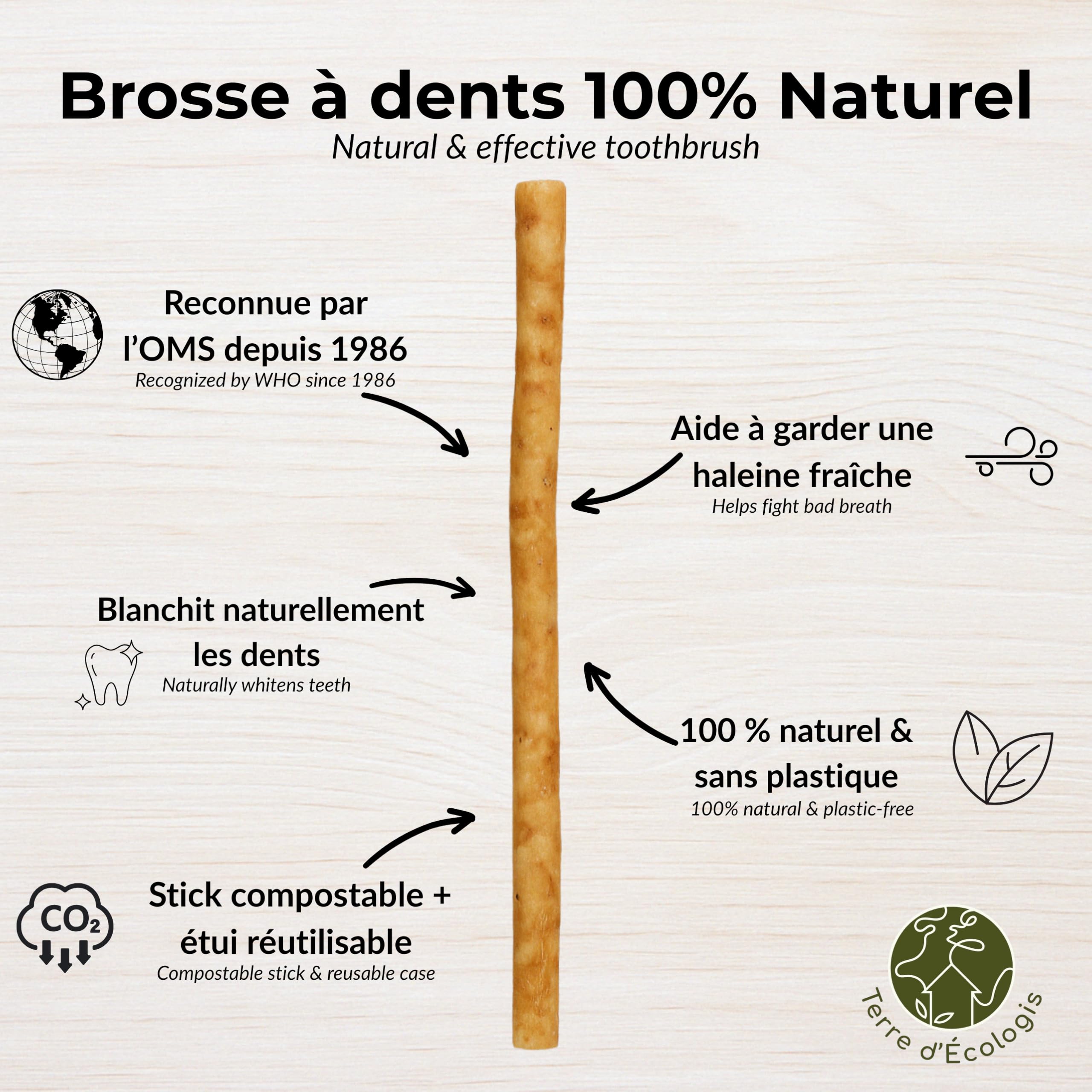 Siwaks Naturali + 1 custodia - Pulizia dentale naturale - Salvadora Persica - Origine Pakistan - Igiene Zero Rifiuti
