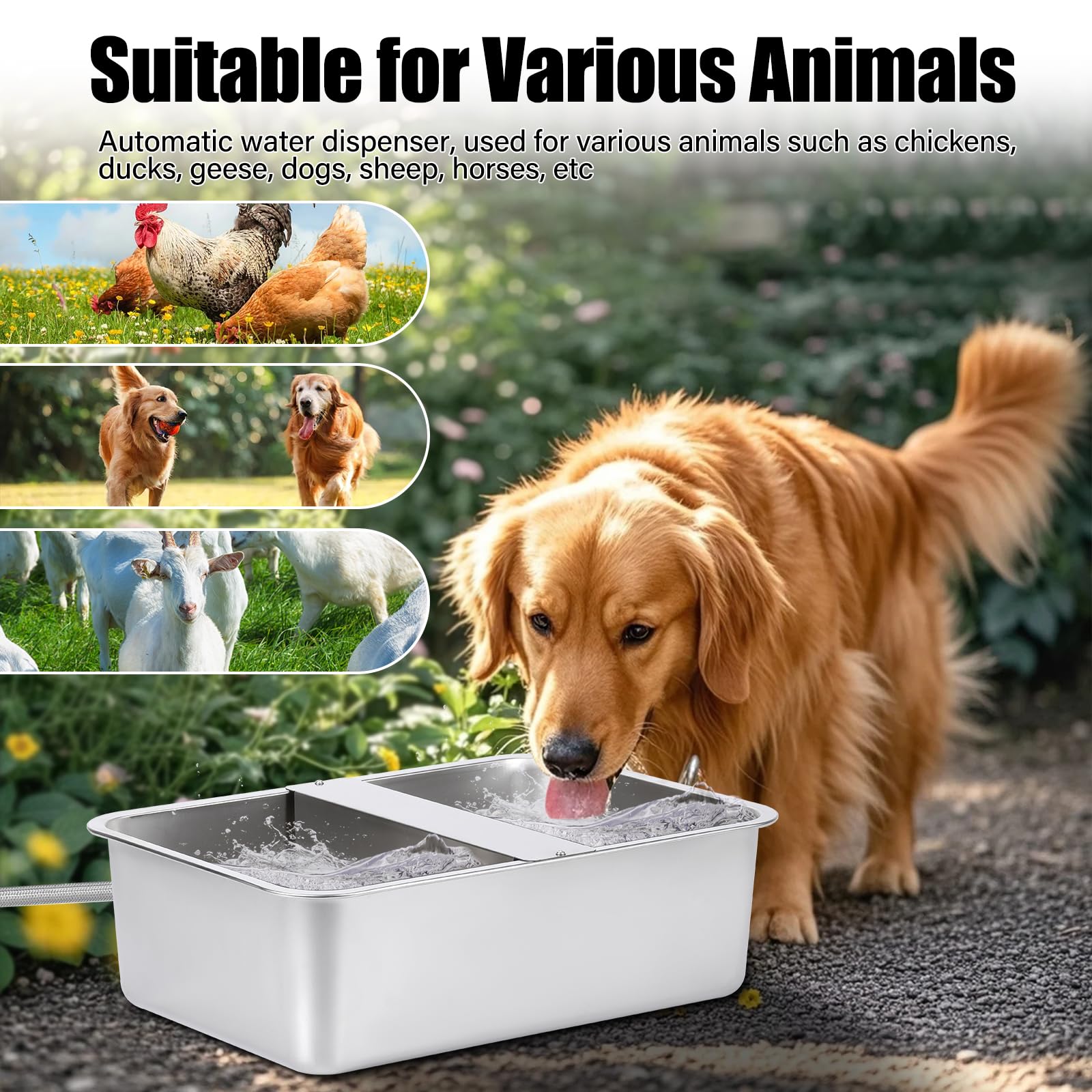 Slow Water Bowl voor honden - De 15 beste producten vergeleken - Wild uitgelegd