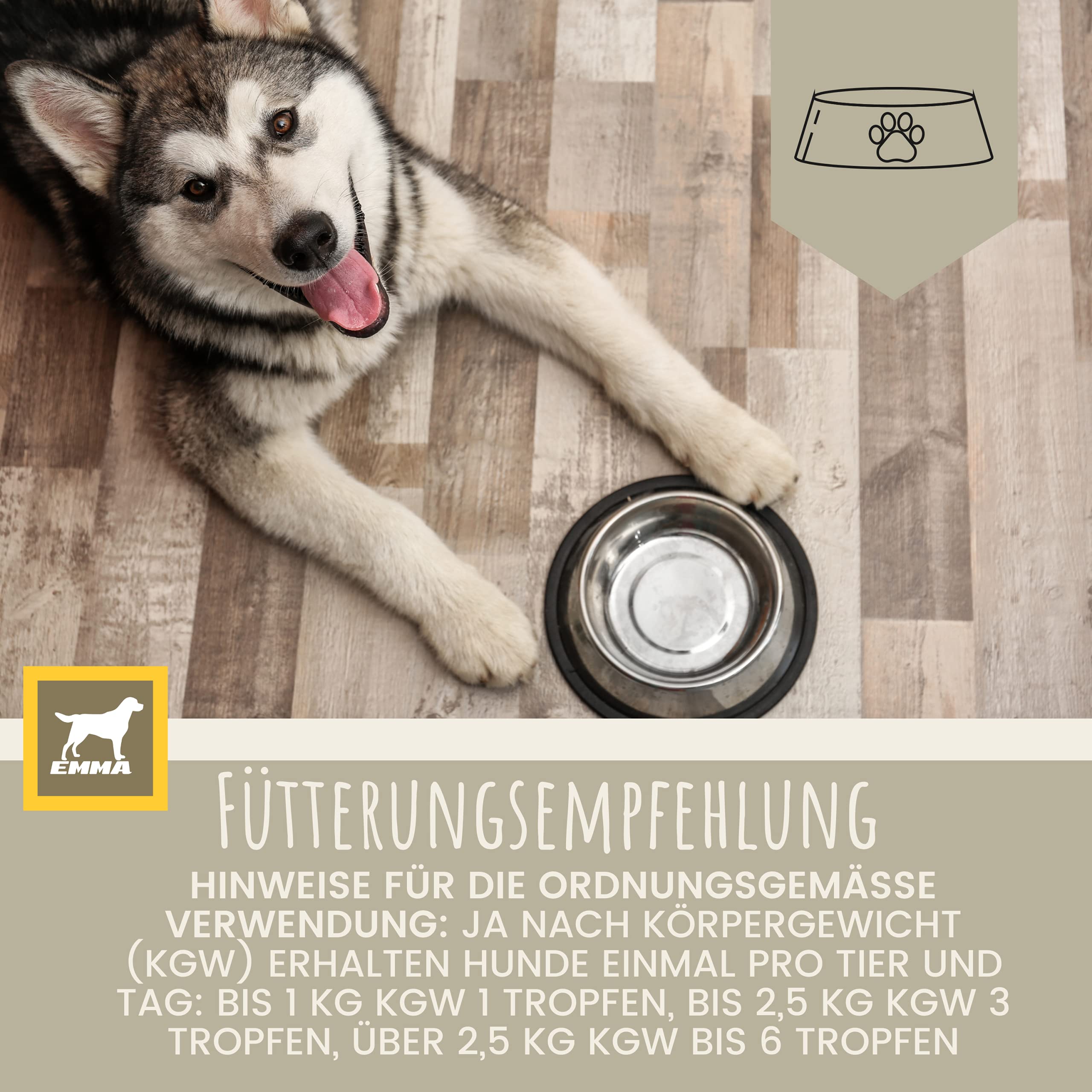 Vitamines pour Chien 0,1ml + Pâte 15ml Complexe de vitamines B Chiens Vitamines B + Vitamine A C D Calcium Renforce la vitalité Multivitamines & Minéraux Soutient Le Système Immunitaire Peau Pelage