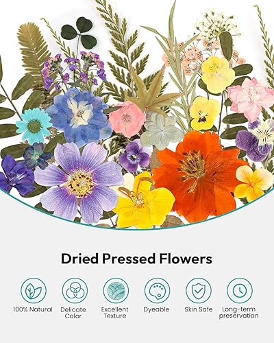 Vista 49 de Resiners - Flores secas, 100 piezas de flores prensadas para manualidades, color amarillo, flores secas naturales, kit de hojas secas