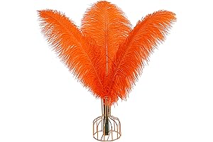 THARAHT Orange Ostrich Feathers, 12Pcs Natural Bulk 12-14Inch 30cm-35cm Centerpieces Halloween Home Decor