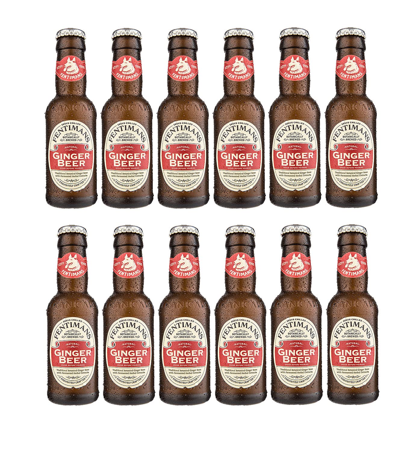 Fentimans Ginger Beer 12er Set 200ml Pfand MEHRWEG