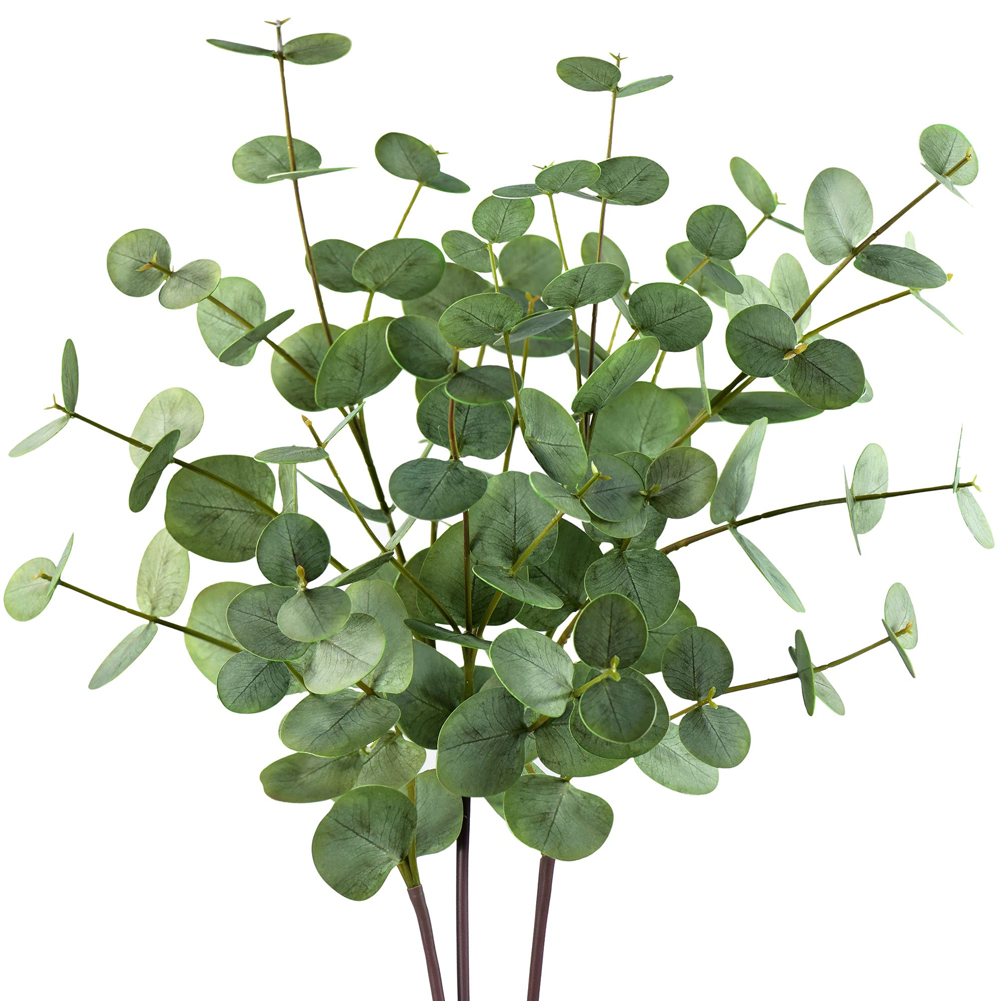 Fiveseasonstuff Real Touch Silver Dollar Eucalyptus 3 Stems Artificial Eucalyptus Stems Leaves, Real Touch Silver Dollar Eucalyptus Plants 3 Stems