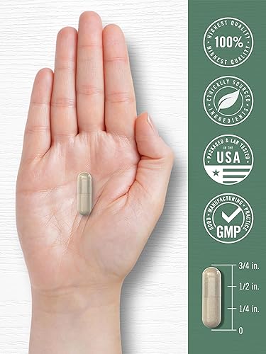 Miniatura 7 de Carlyle Cápsulas de cereza de acerola | 1000 mg | 150 unidades | Extracto sin OMG y sin gluten | Baya de acerola