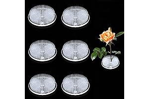 6 Pieces Clear Flower Frog with Suction Cups for Ikebana Vases