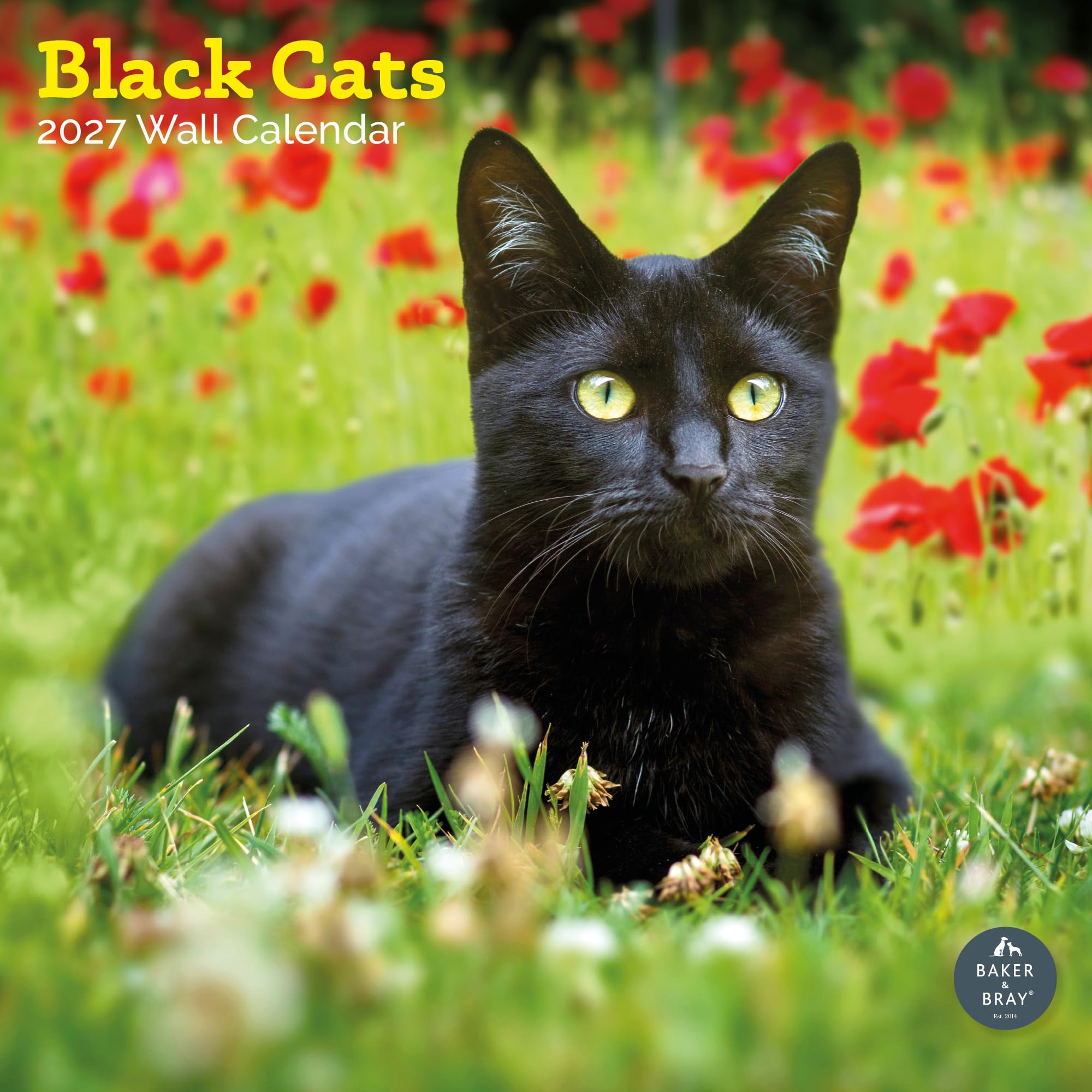 Baker and Bray Black Cats Calendar 2027, Large
