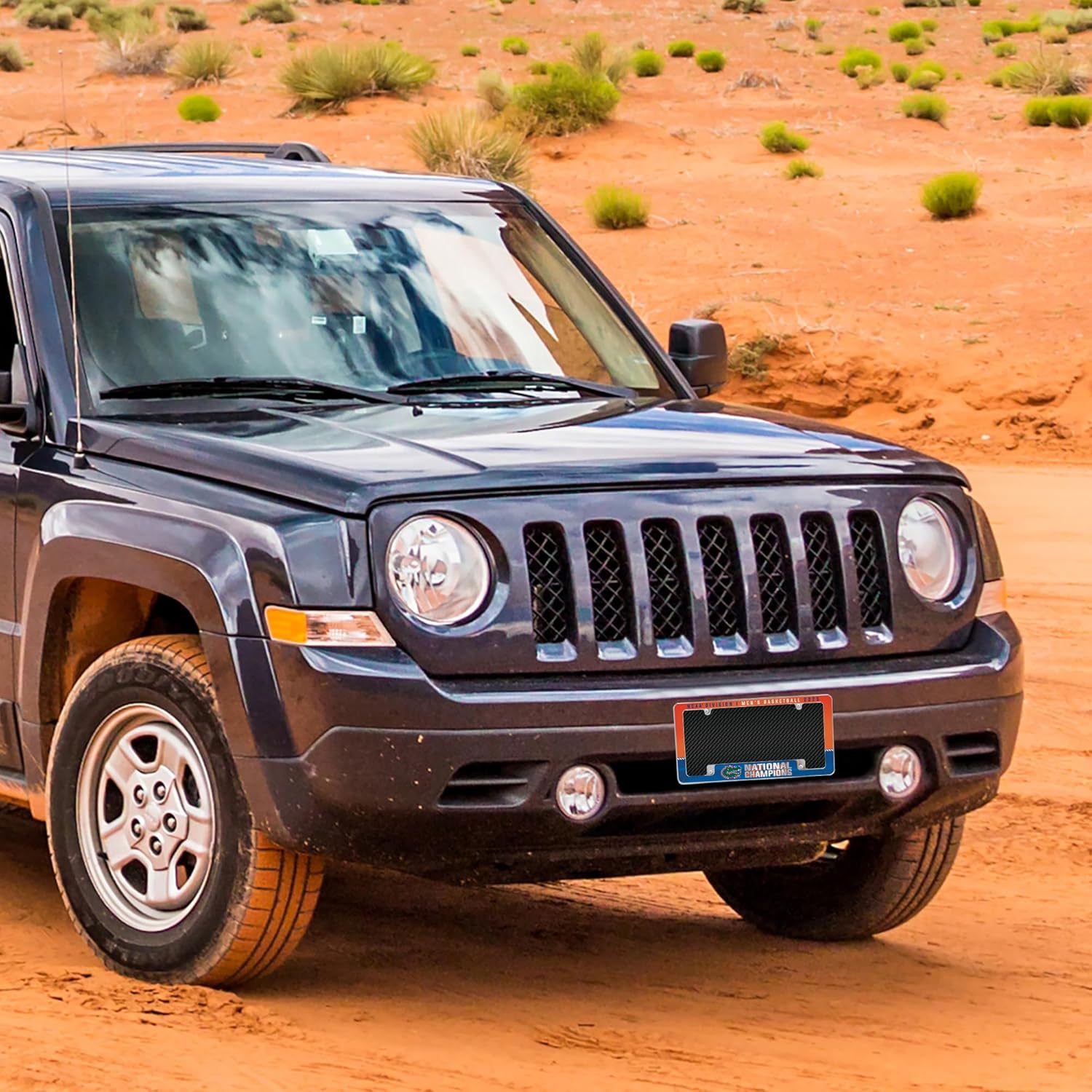 Rico Industries NCAA Florida Gators 2025 Men's Basketball National Champions 12" x 6" Chrome All Over Automotive License Plate Frame for Car/Truck/SUV - Image 3