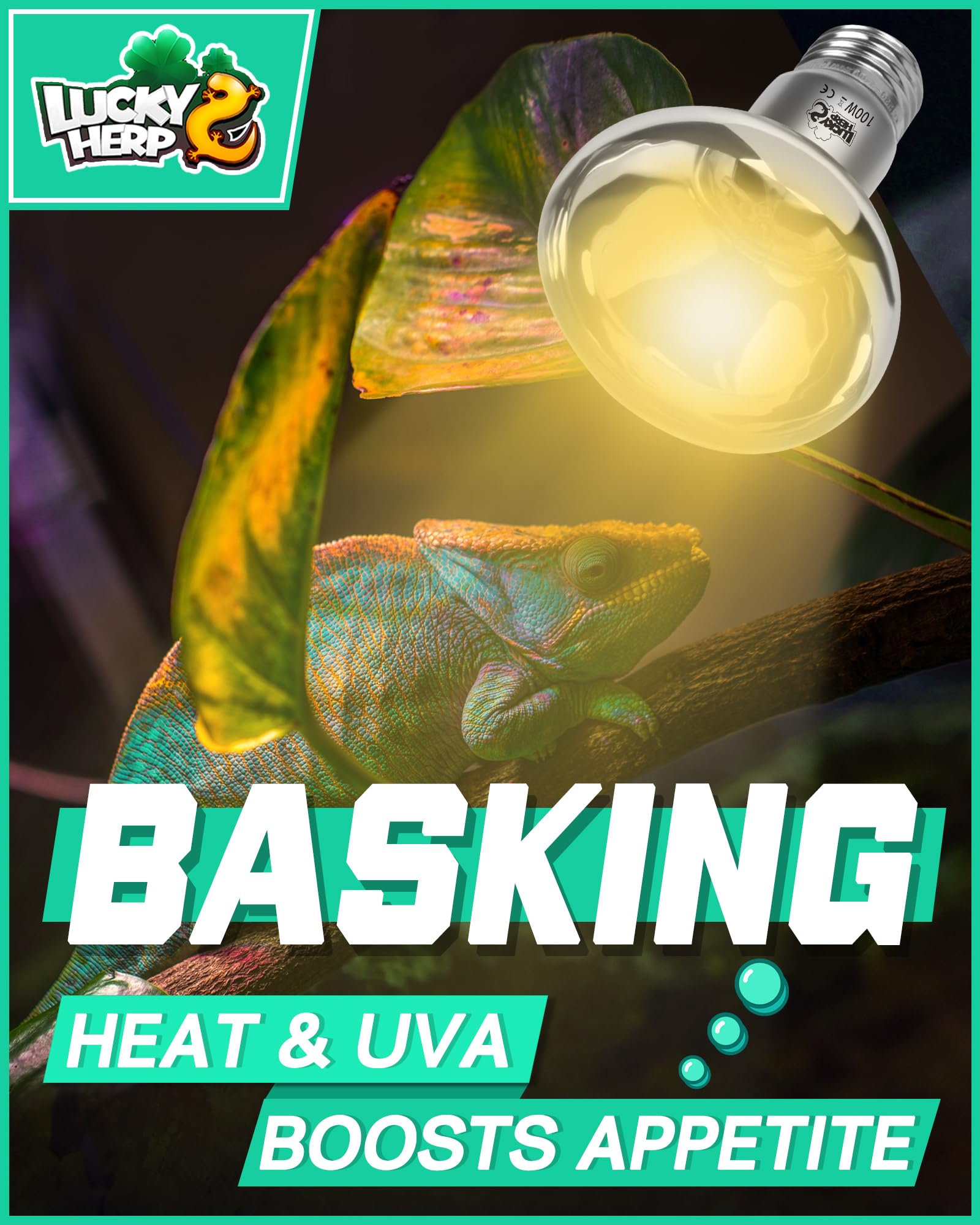 LUCKY HERP Reptile Heat Lamp Bulb - Image 4