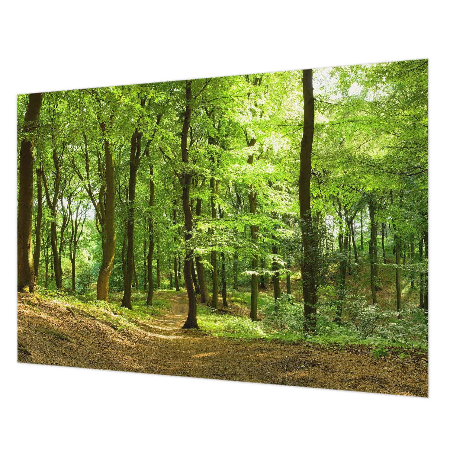 Papier peint panoramique impression de haute qualité motif chemin de nature