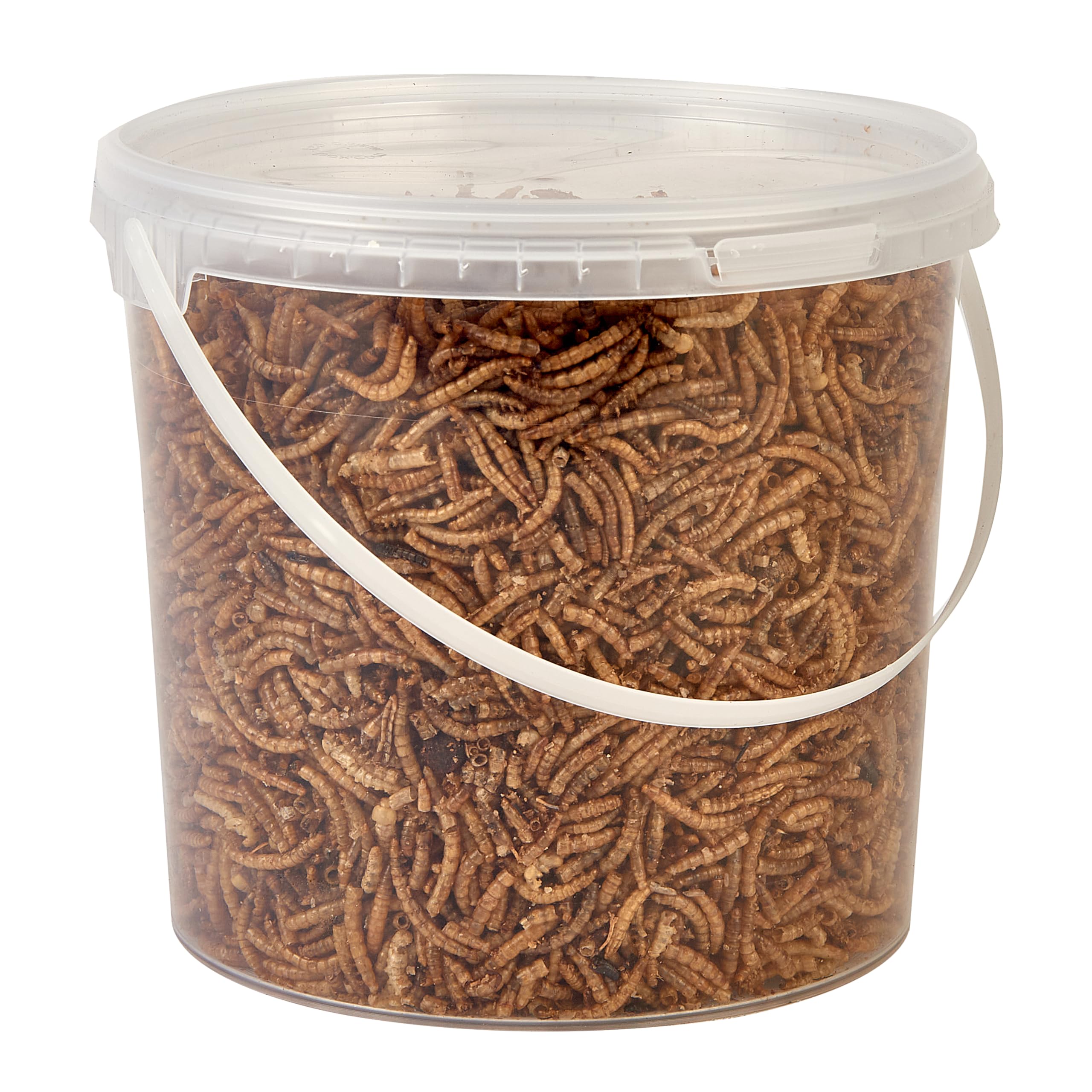 Premium Dried Mealworms, Wild Bird Food, 2.5L