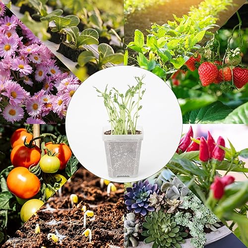 Miniatura 5 de UNAOIWN Macetas de 3 pulgadas con cúpula de humedad paquete de 40 macetas de plástico blanco para jardinería maceta de inicio de semillas contenedor