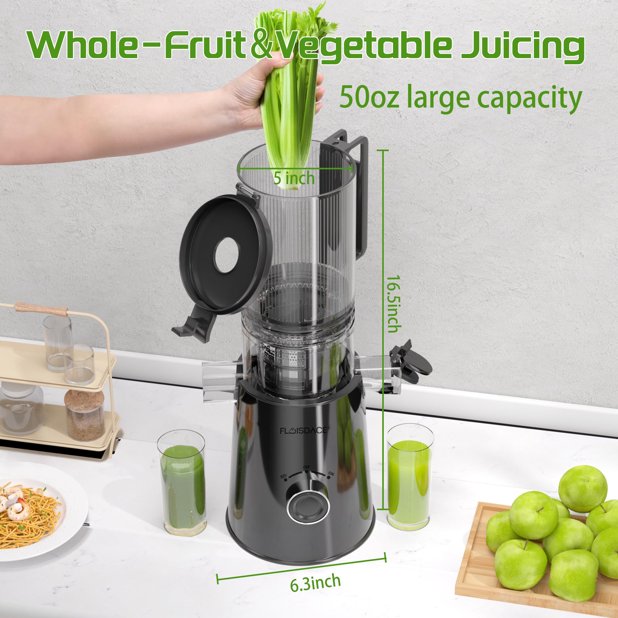 Cold Press Juicer, Slow Masticating Juicer Machines with 5