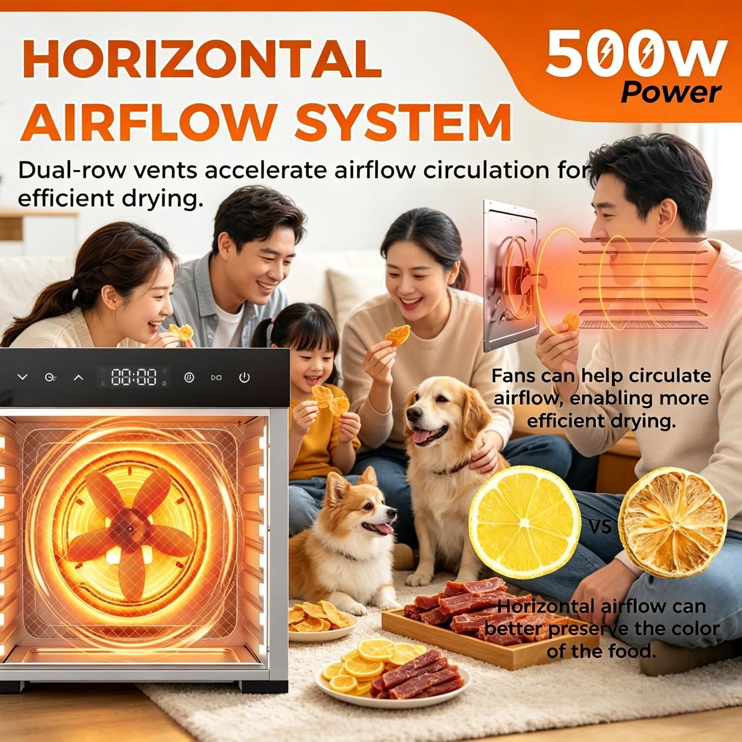 Deshidratador de Alimentos, deshidratador de Carne de Acero Inoxidable, Temporizador Ajustable y Control táctil de Temperatura, para cecina, Frutas, Verduras y champiñones.