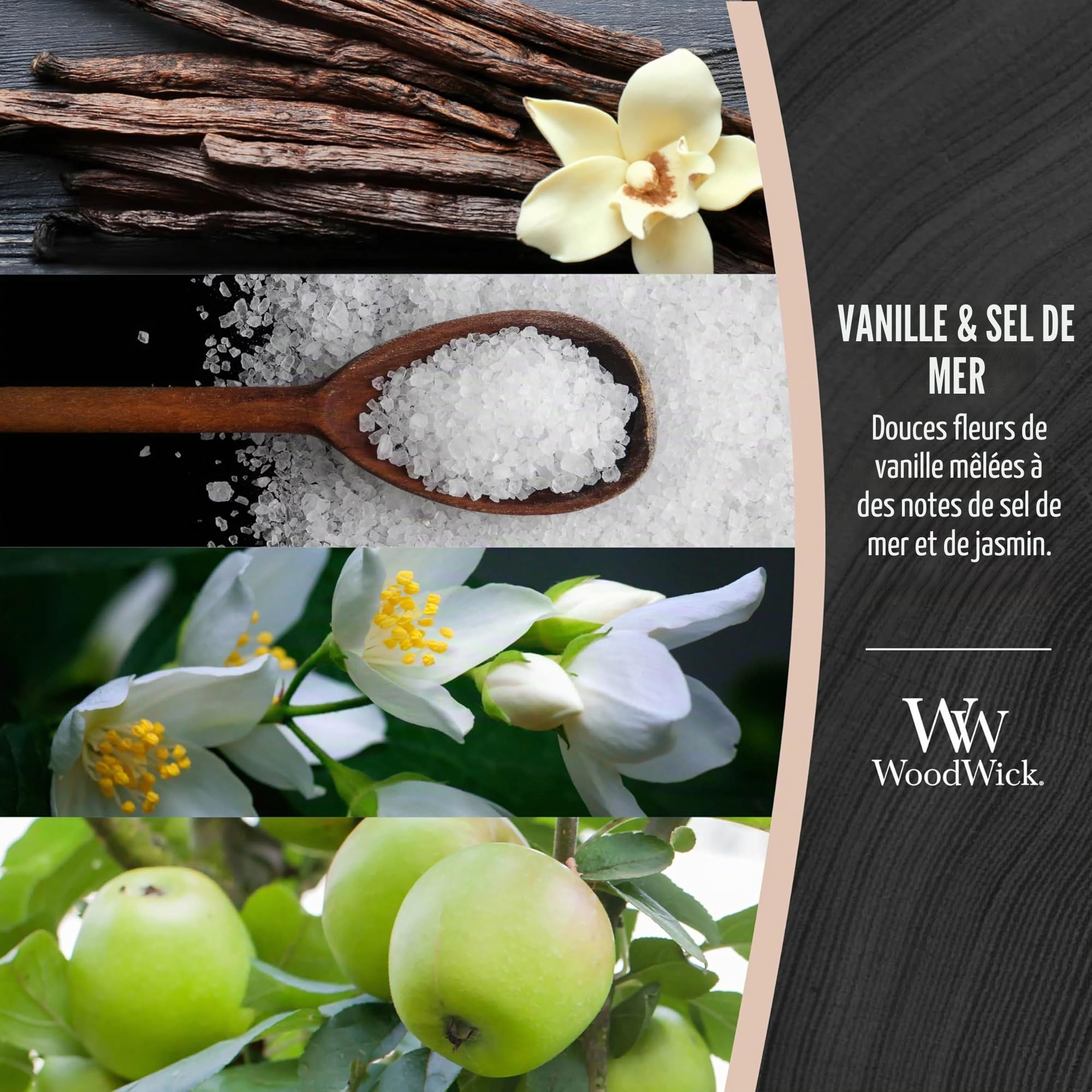 WoodWick Bougie parfumée | Bougie Ellipse | Vanille & Sel Marin | Superbe cadeau pour femme