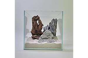 3 Gallon Low Iron Ultra Clear Nano Aquarium Fish Tank