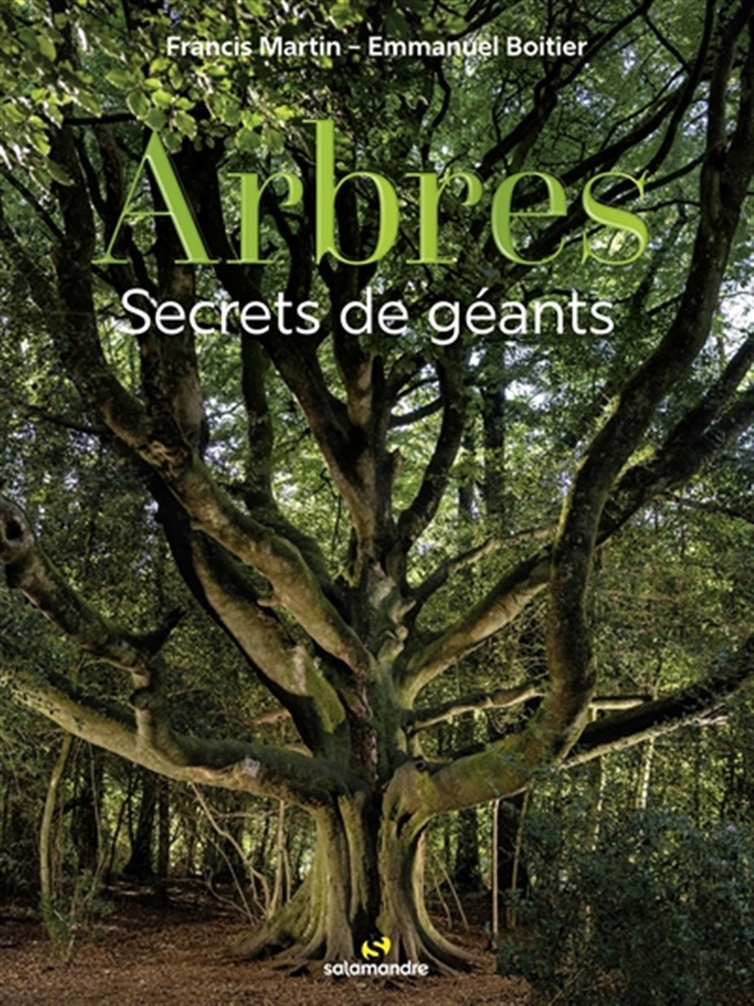Arbres, secrets de géants