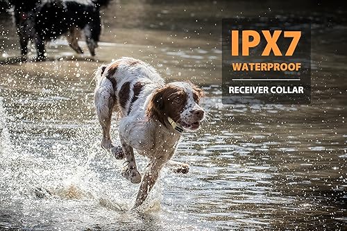 Miniatura 9 de PATPET Collar de choque para perro con control remoto (34 millas), collar de entrenamiento para perros incluye collar E recargable e impermeable