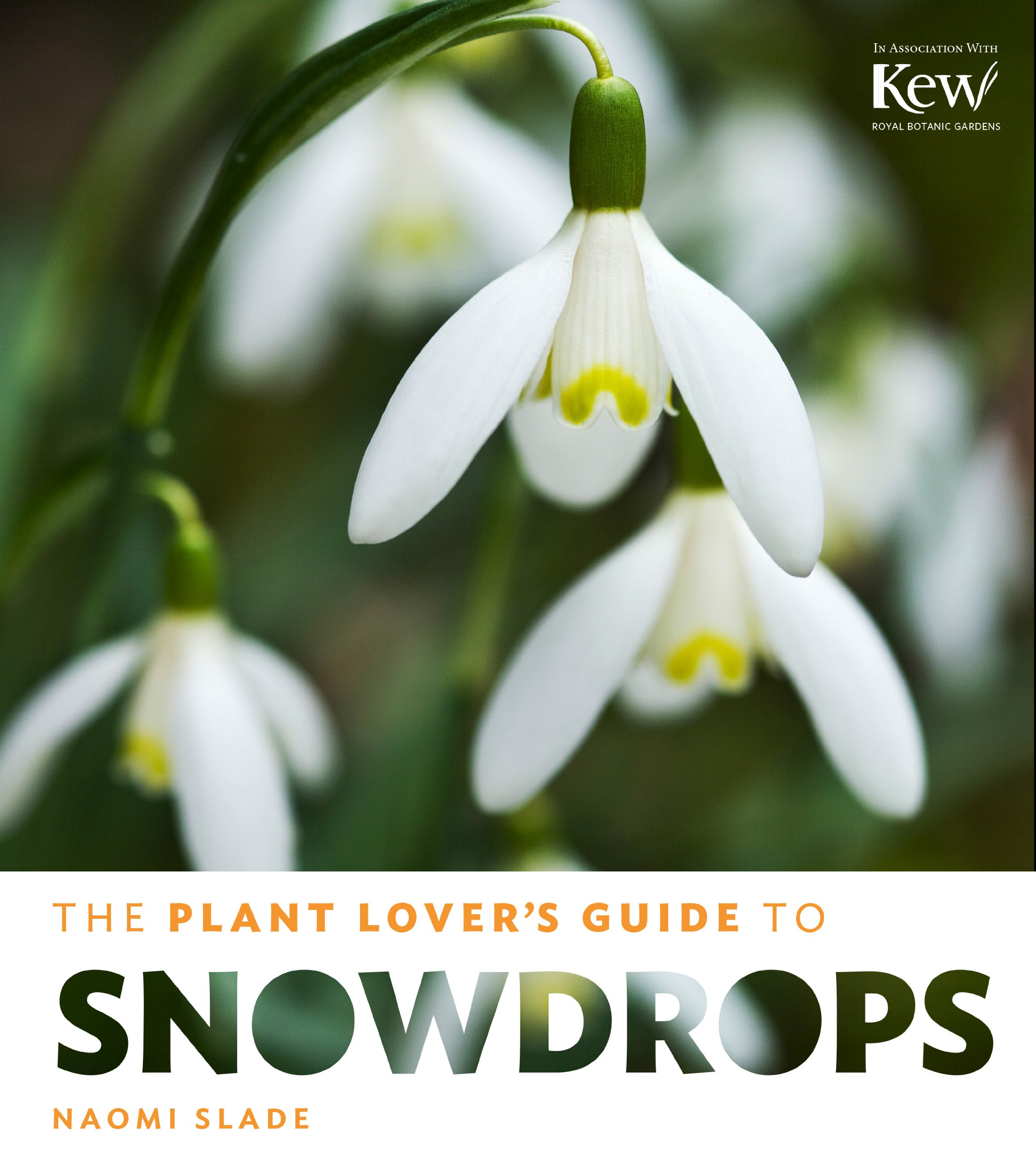 The Plant Lover's Guide to Snowdrops,Naomi Slade