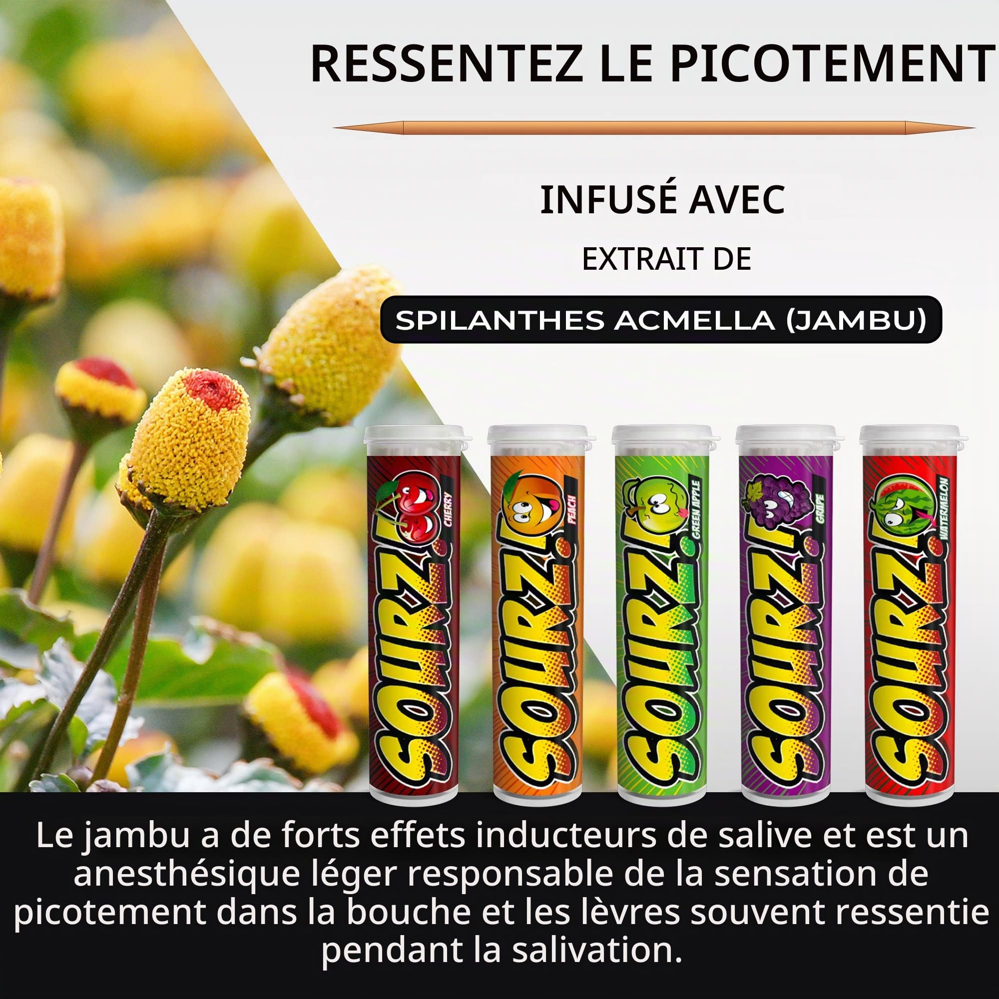 Xero Picks - Cure-dents aromatisés infusés Sourz - Sans sucre - Pomme aigre, raisin aigre, cerise aigre, pastèque aigre, pêche aigre - Lot de 5 - 20 pics par