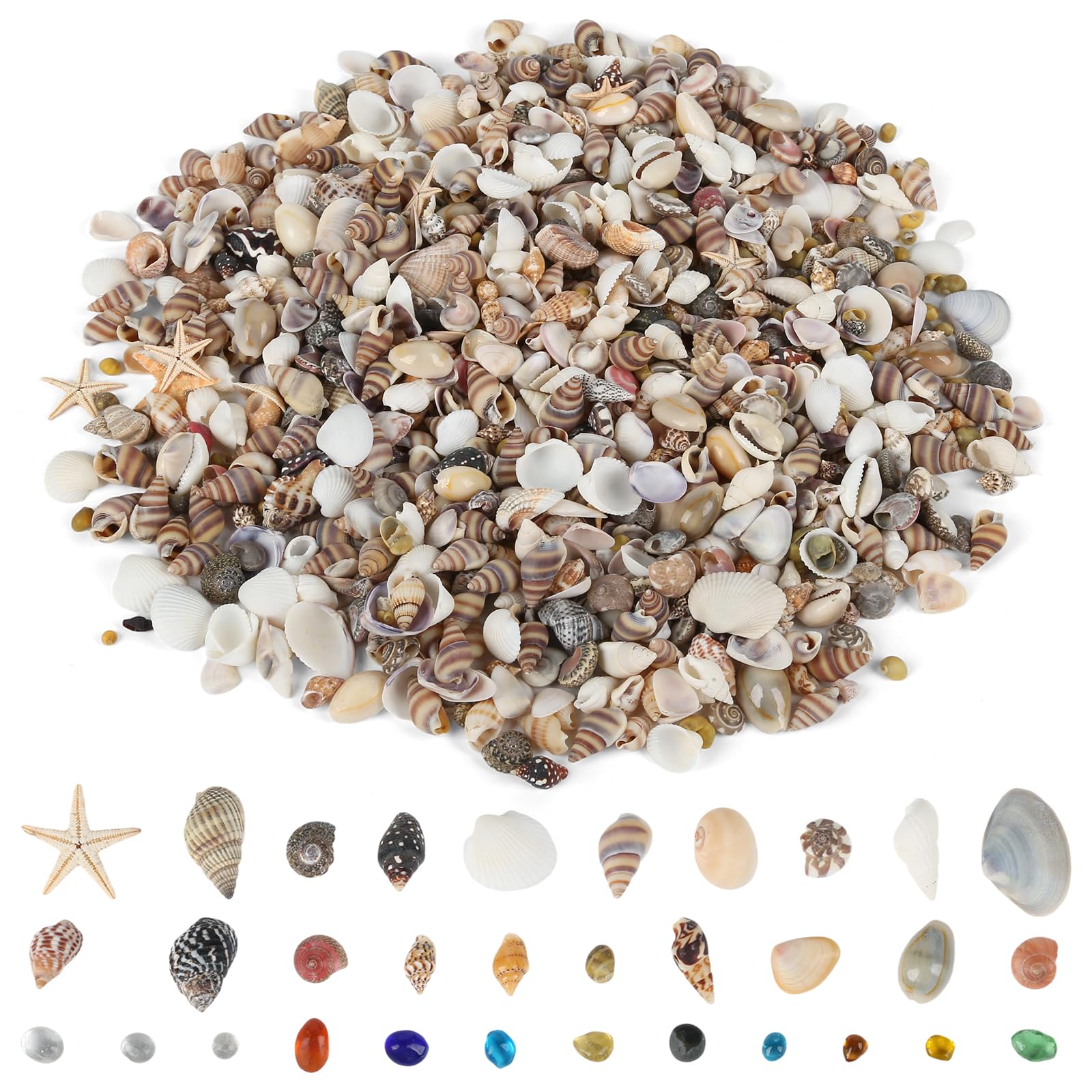 xinyids 1500pcs Small Sea Shells and Mini Starfish Mixed, Sea Shells for Crafts Set mit 10pcs Sea Glass, Natural Seashell Decorations for Crafts DIY Beach Theme Party Candle Decor Wedding Fish Tank
