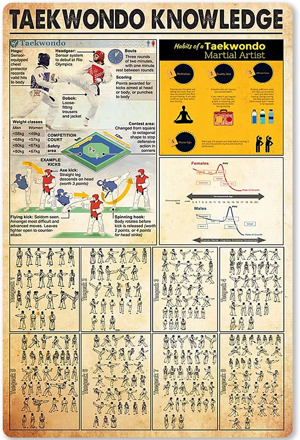 rayprint Skills Instructions Tin Poster Plaque Taekwondo Knowledge Metal Sign Taekwondo Basic Knowledge for School Club Home Kitchen Infographic 12x16 Inches