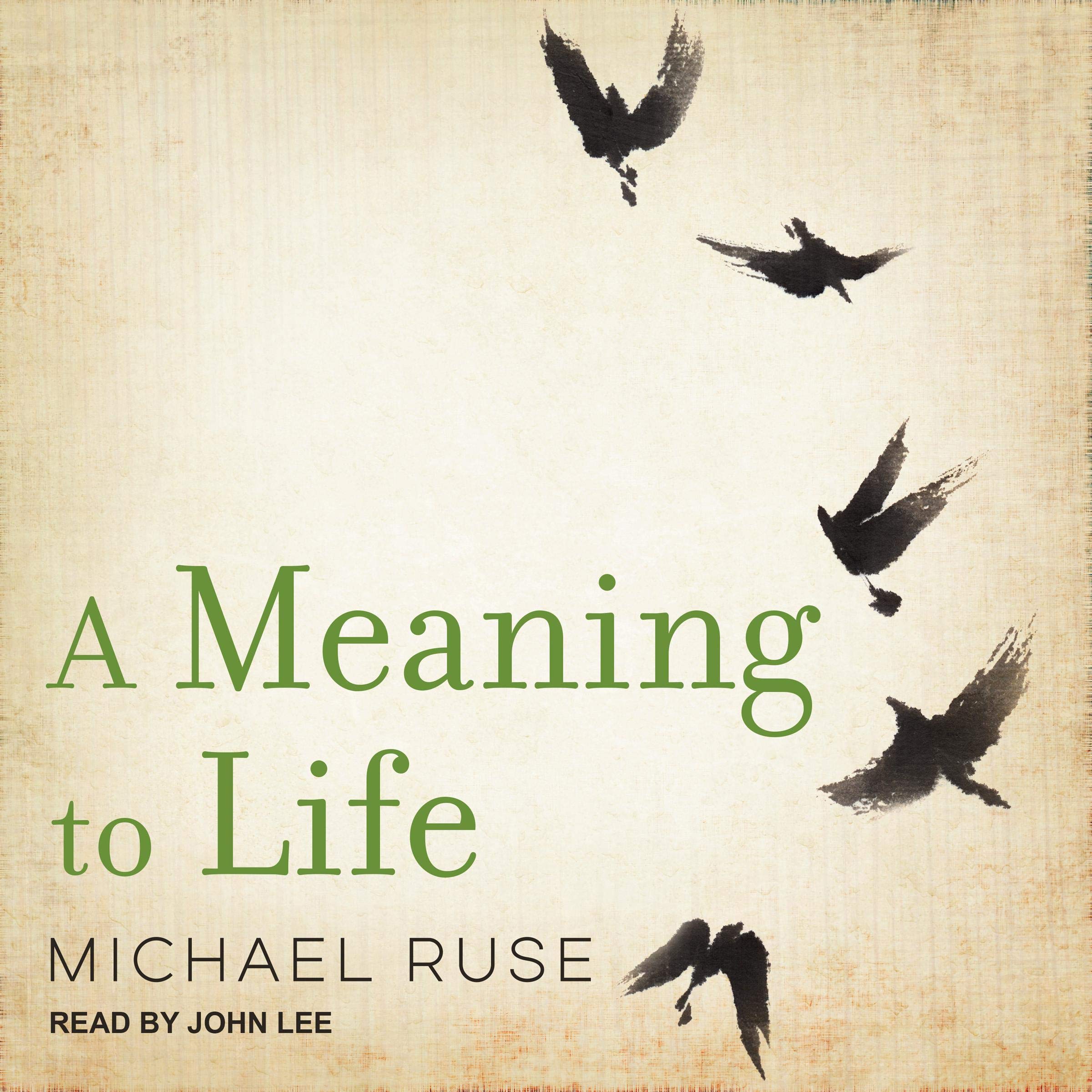 Cover art for A Meaning to Life