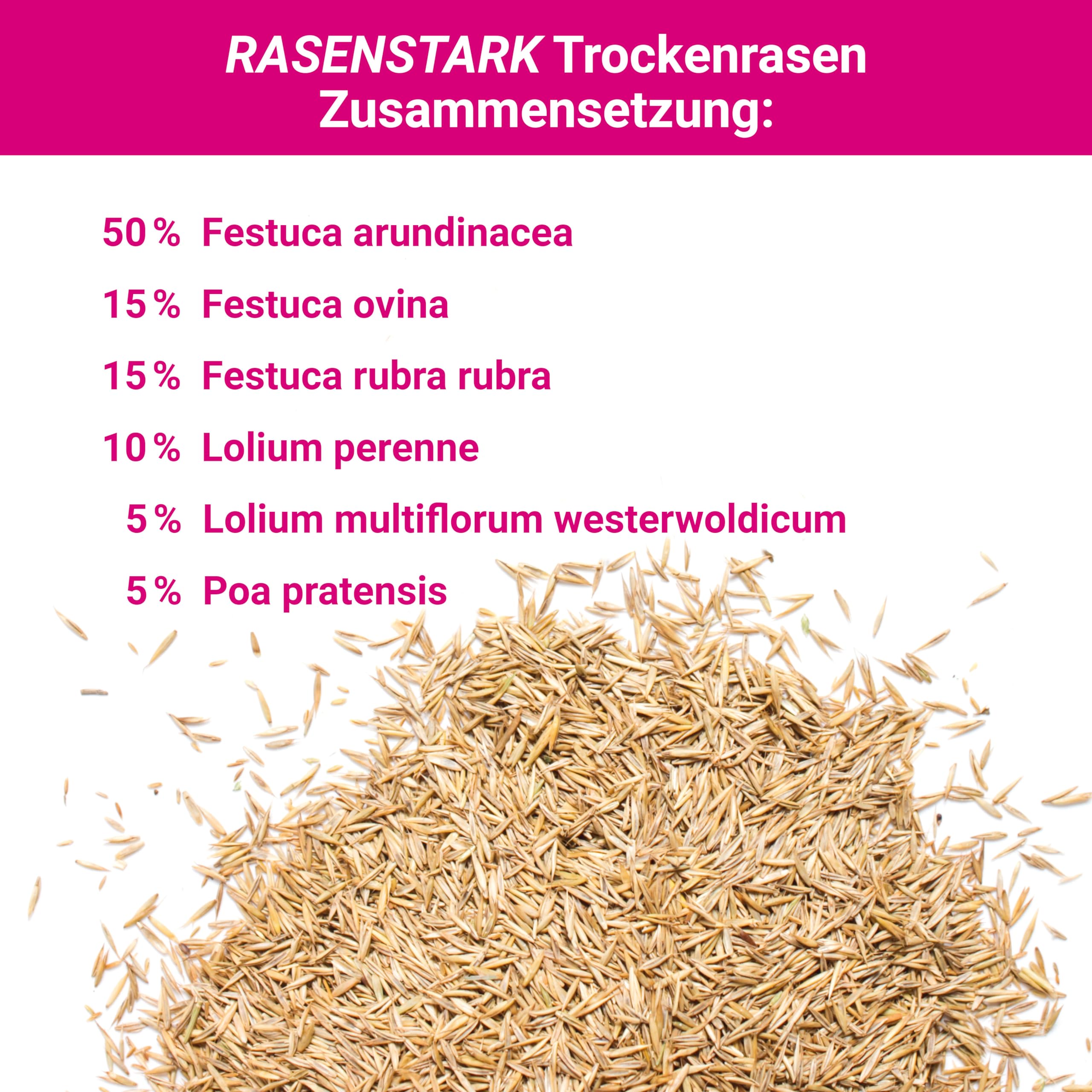 Trockenrasen schnellkeimende Rasensamen 10 kg für 250 m², ideal zur Nachsaat oder Neuanlage, dürreresistent + robuste Rasensaat, trockenresistente Grassamen Samen