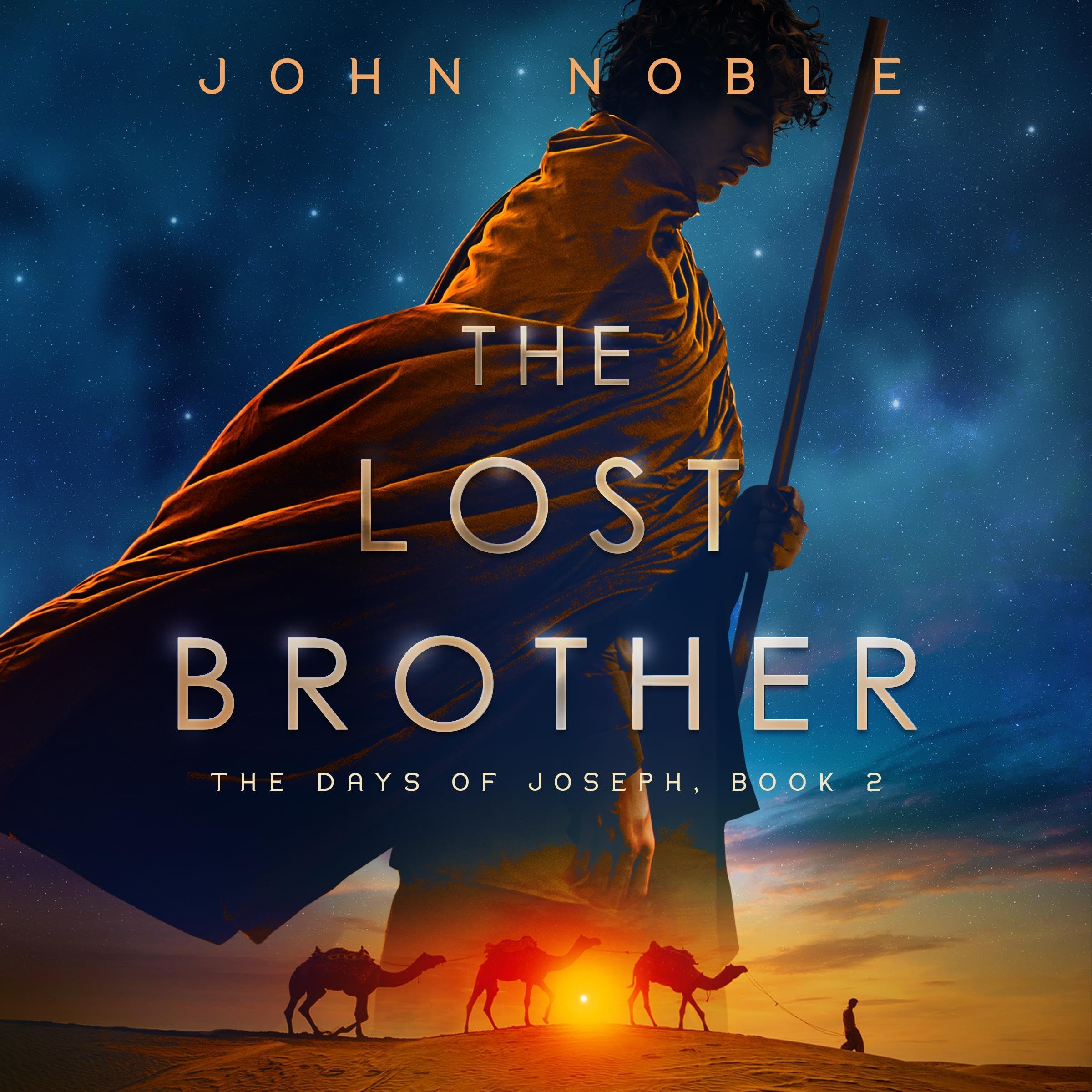 Cover art for The Lost Brother
