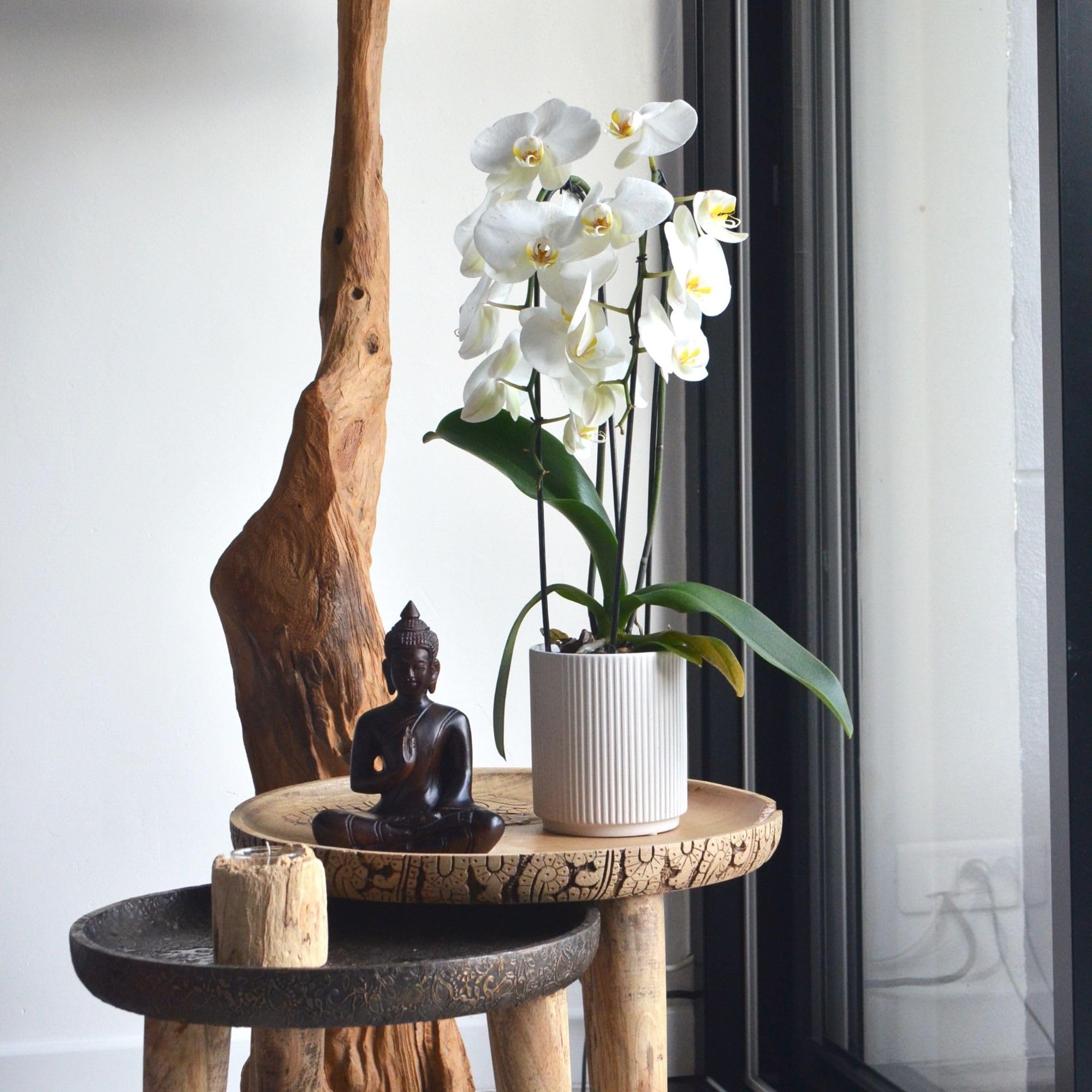 View 8