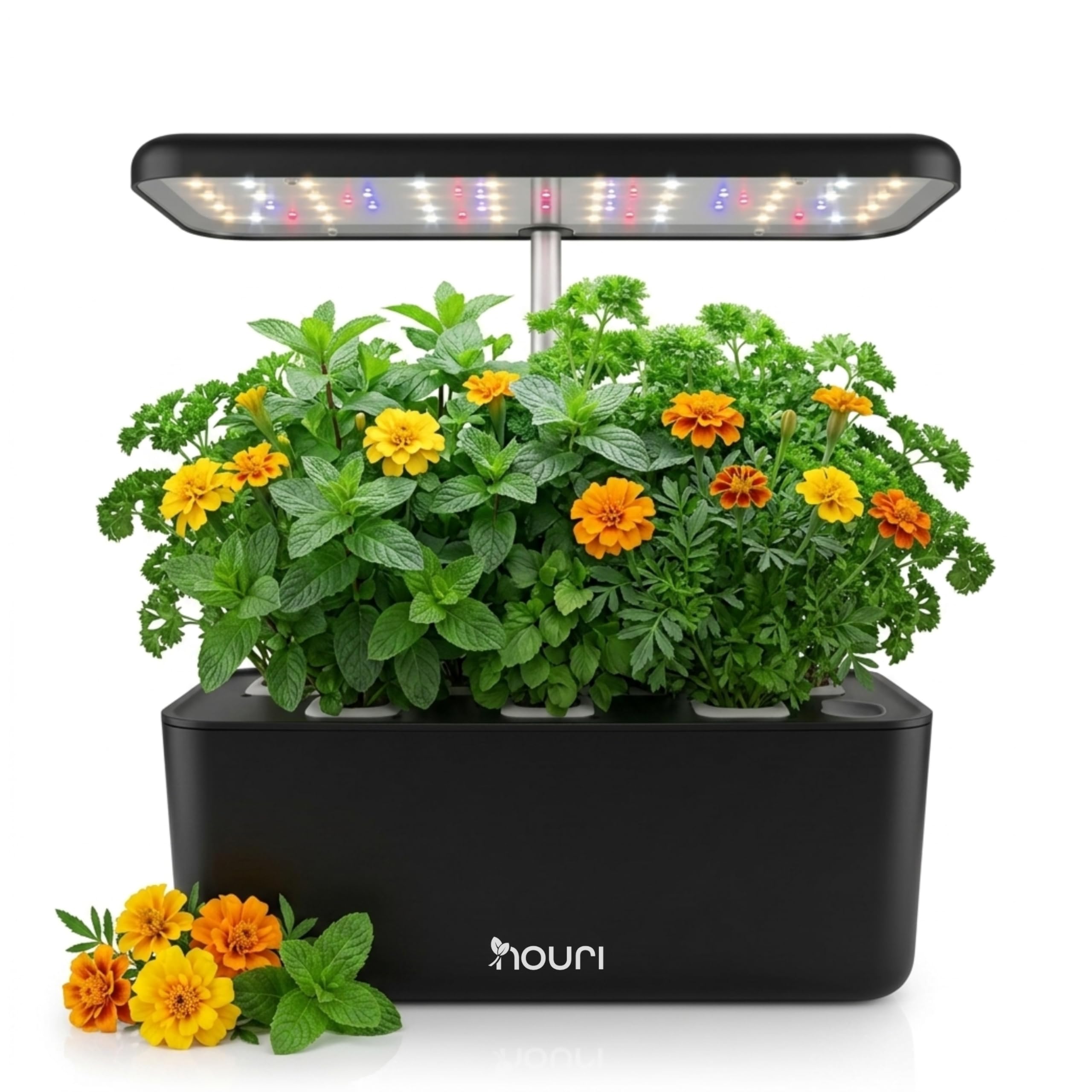 Nouri Hydroponics Growing System, 7 pod Smart Indoor Herb Garden Kit with LED Grow Lights, Hydroponic Herb Garden Indoor for Plant Lovers, Gardeners, Kitchen, Lettuce Seeds Included