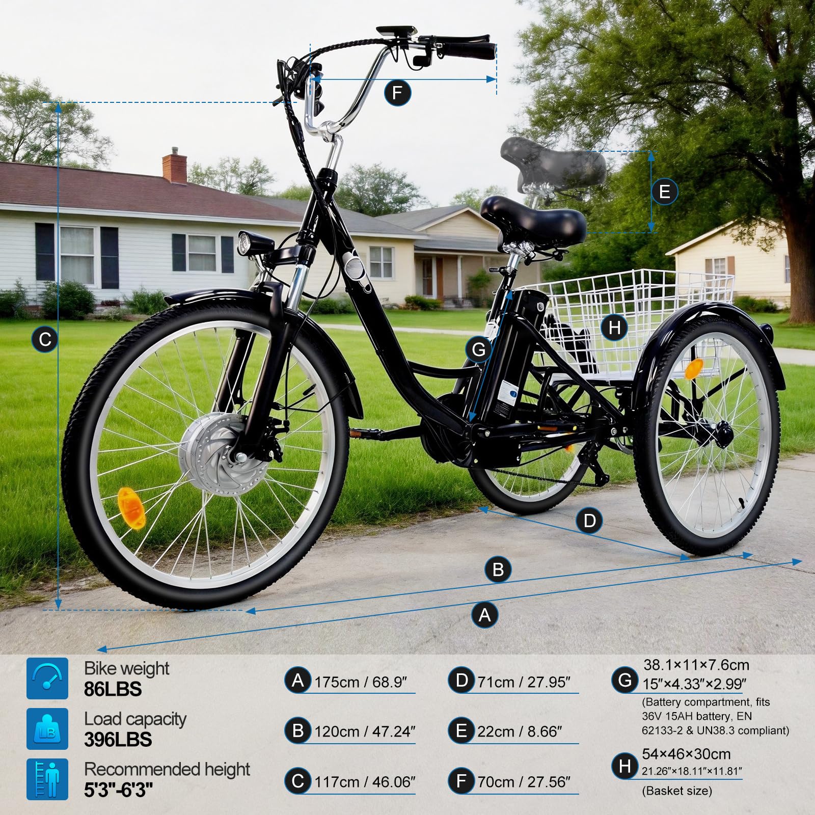 Triciclo Elettrico per Adulti e Anziani | Motore 250W Conforme EPAC EN 194 | Velocità Max di Assistenza 25 km/h | 7 Velocità, Cestino Grande, Telaio in Alluminio, Luci LED, 3 Ruote per Tutti i Terreni