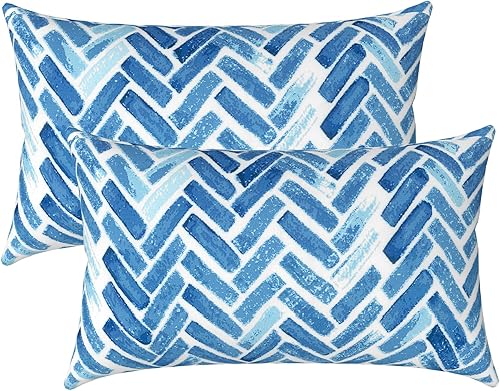 LVTXIII Solo fundas de almohada lumbar para exteriores e interiores, 12 x 20 pulgadas, resistentes a la decoloración, fundas de cojín lumbar, fundas