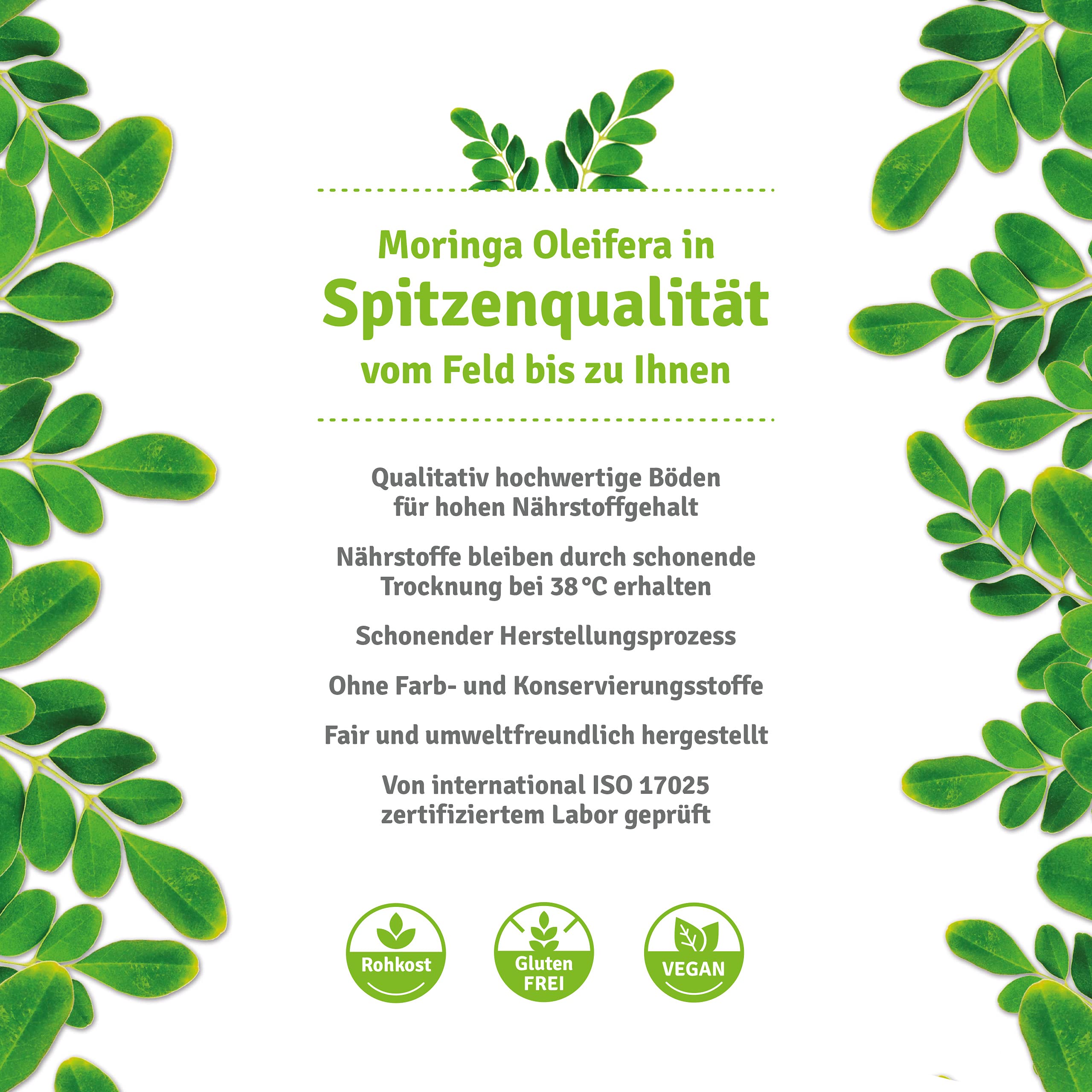 Olej Moringa – olej z nasion moringi, tłoczony na zimno 250 ml, olej z pestek z nasion drzewa Moringa, wysokiej jakości surowej jakości zgodnie z naturalną uprawą upraw firmy Maya Garden