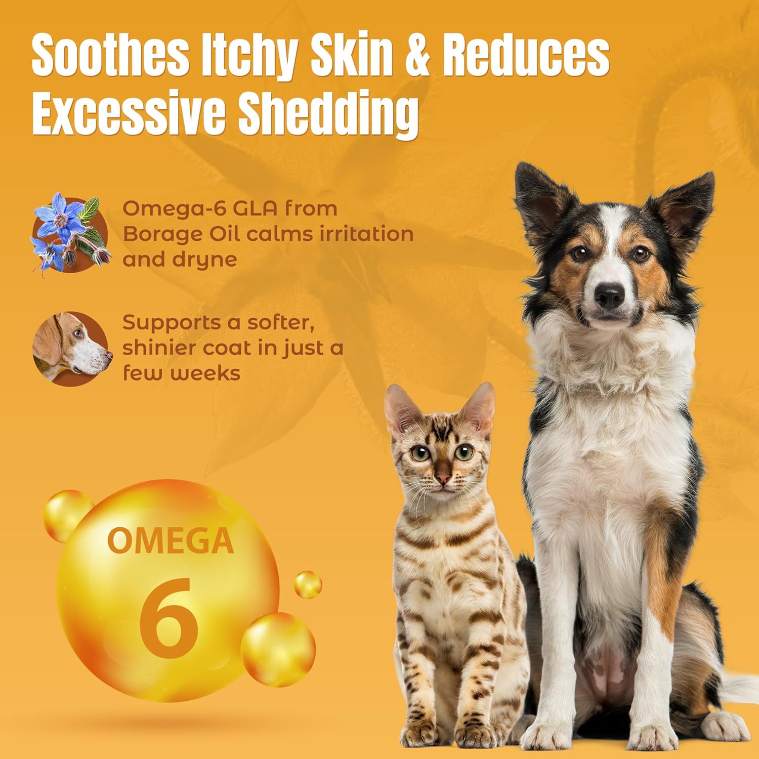 Lifeline Wild Anchovy + Borage Oil for Dogs | Omega-6 GLA Supplement for Skin Health, Allergies & Coat | Reduces Shedding, Itching & Inflammation – 26 oz