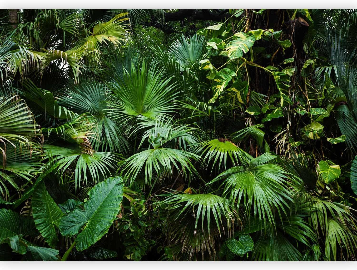 Carta Da Parati Premium Con Palme - 450x315 Cm, TNT, Design Giungla Grigio, Per Interni - Foto 8