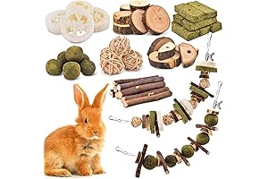 KATUMO Rabbit Necessities Bundle for Enhancing Bunny Well-being