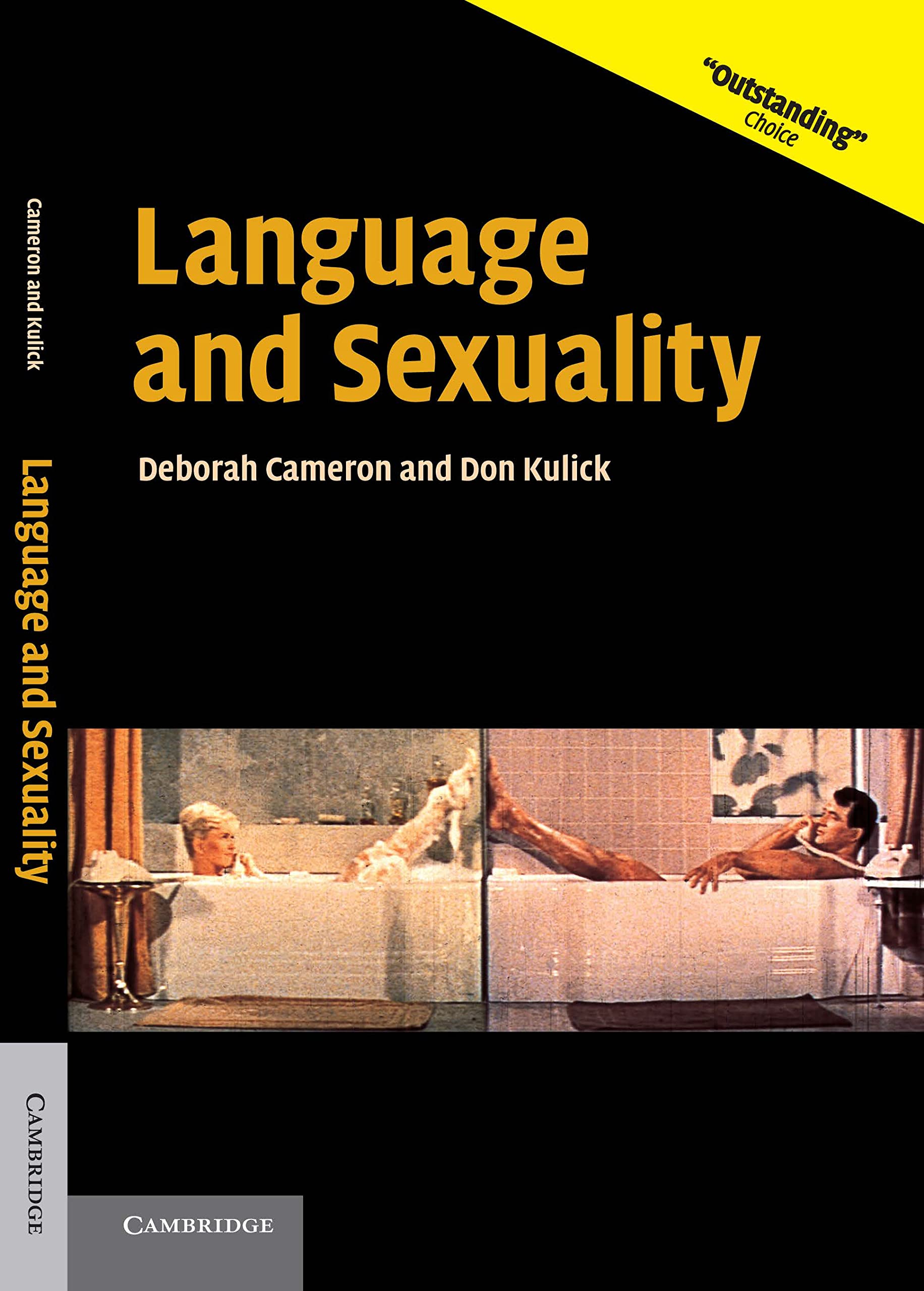 Language and Sexuality - 0521009693, paperback, Deborah Cameron