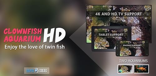 free clown fish aquarium HD - decore seu quarto com um lindo aquário em sua TV HDR 4K, TV 8K e dispo