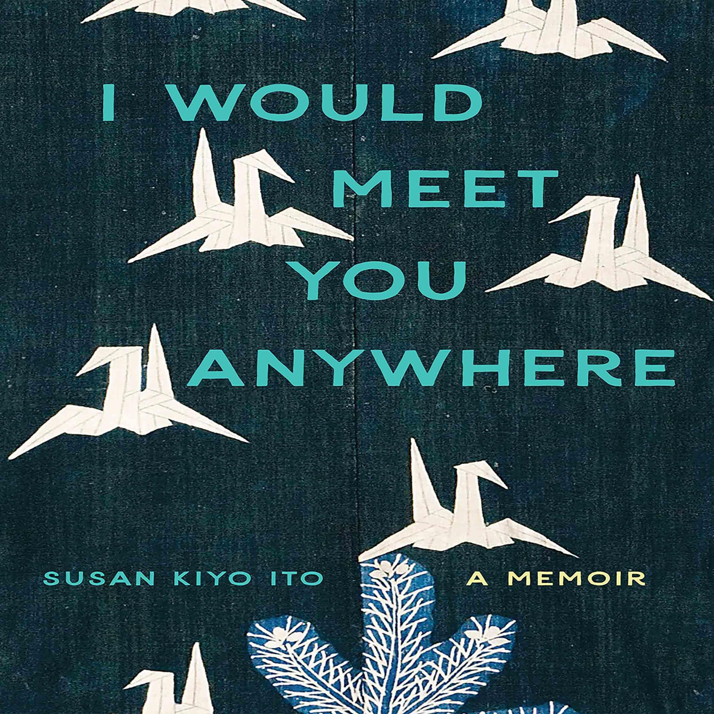 Cover art for I Would Meet You Anywhere