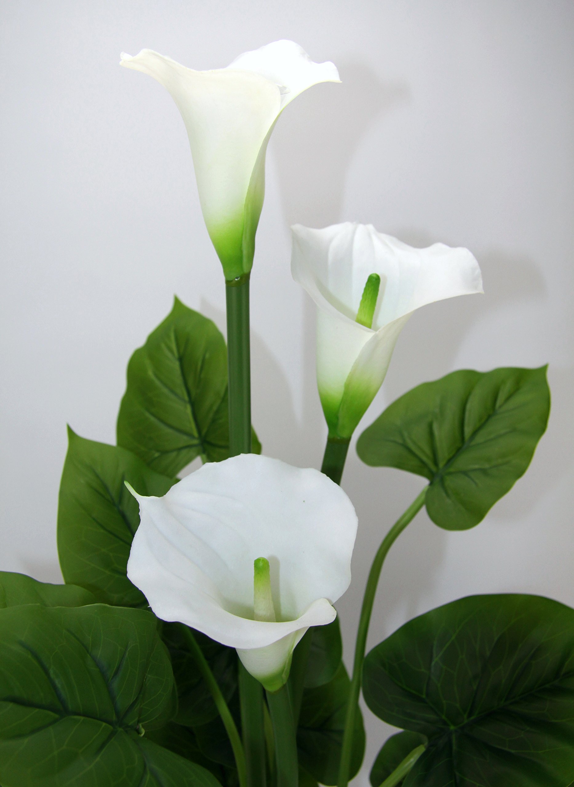 Plante Artificielle Calla en Pot - Fleurs artificielles en Soie - Plantes Calla - Décoration réelle - Plante d'intérieur - Plante Verte - Bouquets Exotiques de lys - Décoration funéraire