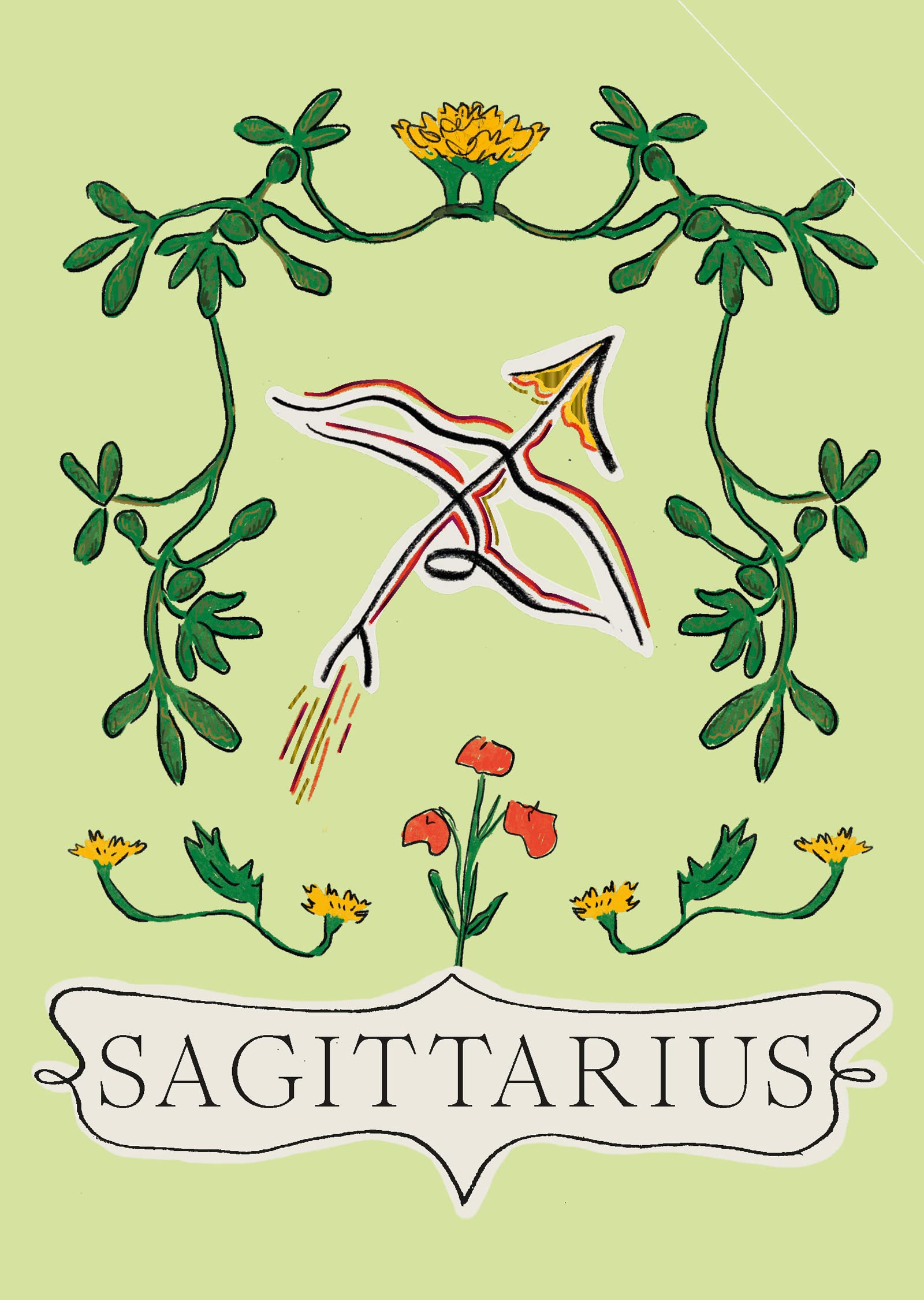 Sagittarius: November 22 - December 21: 9 (Planet Zodiac). Phi 9781804530016.#.#