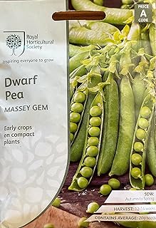 Mr Fothergill's Royal Horticultural Society Dwarf Pea Massey Gem Seed