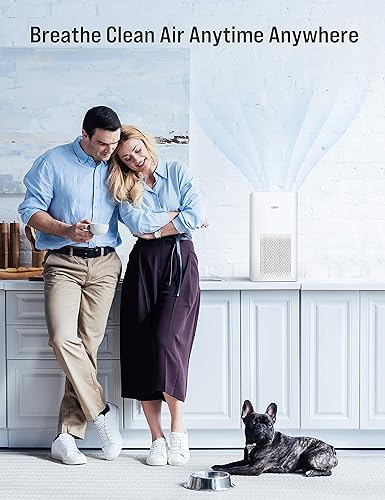 Miniatura 6 de TOPPIN Filtro de repuesto para purificador de aire TPAP001 prefiltro 4 en 1 filtro H13 True HEPA reemplazo de filtro de aire todo terreno