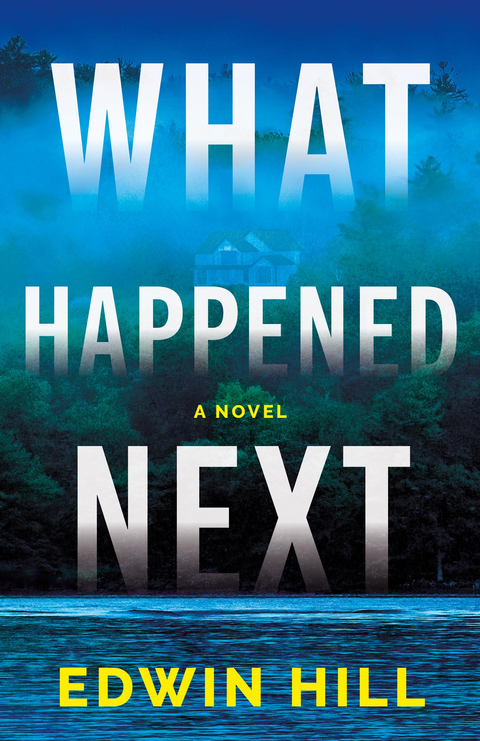 What Happened Next A Novel by Edwin Hill (Paperback Book)