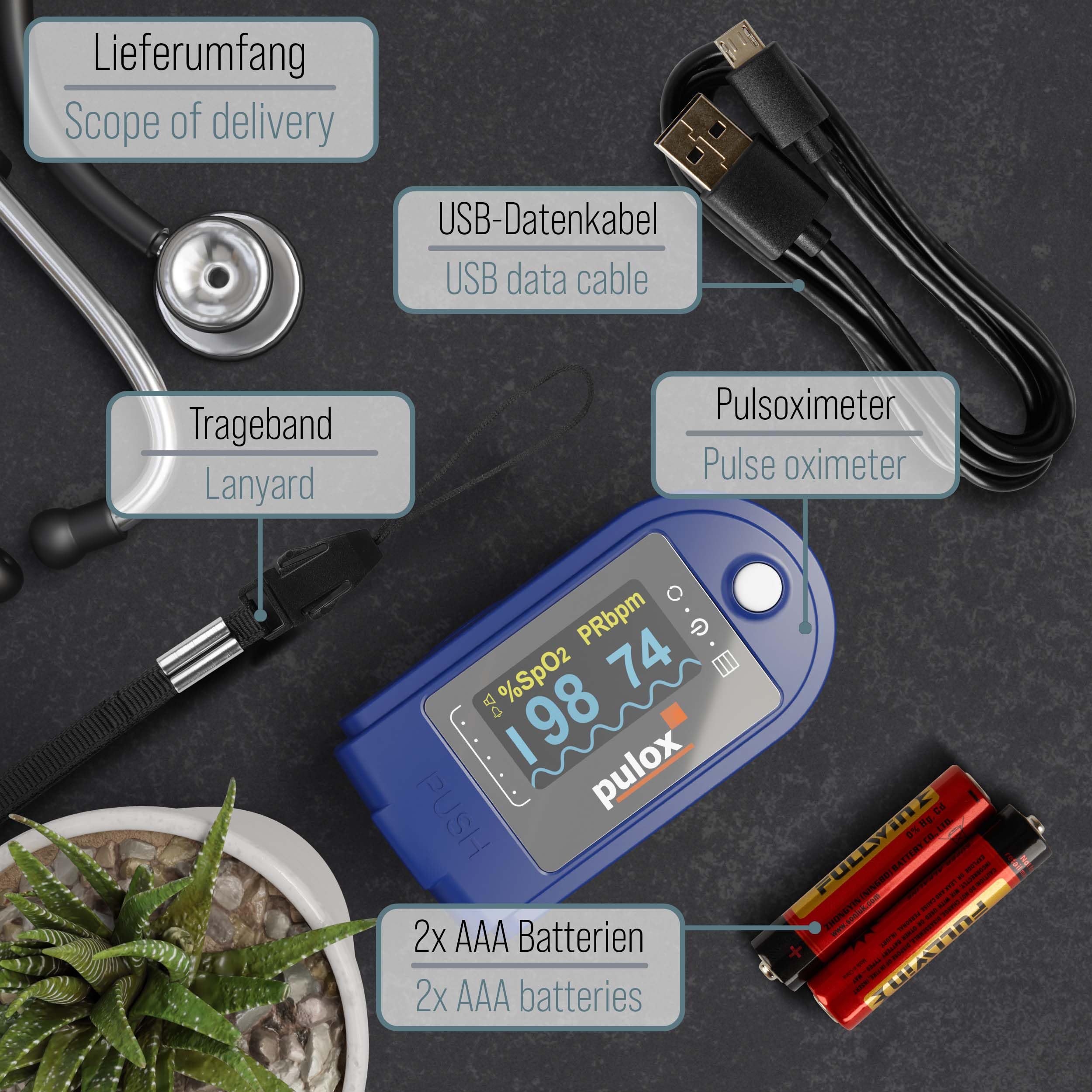 Pulox PO-250 Pulsoximeter mit LCD-Farbdisplay, Alarm & Software | Inklusive Batterien zur mobilen Messwertkontrolle, Datenauswertung bequem per PC-Anwendung möglich